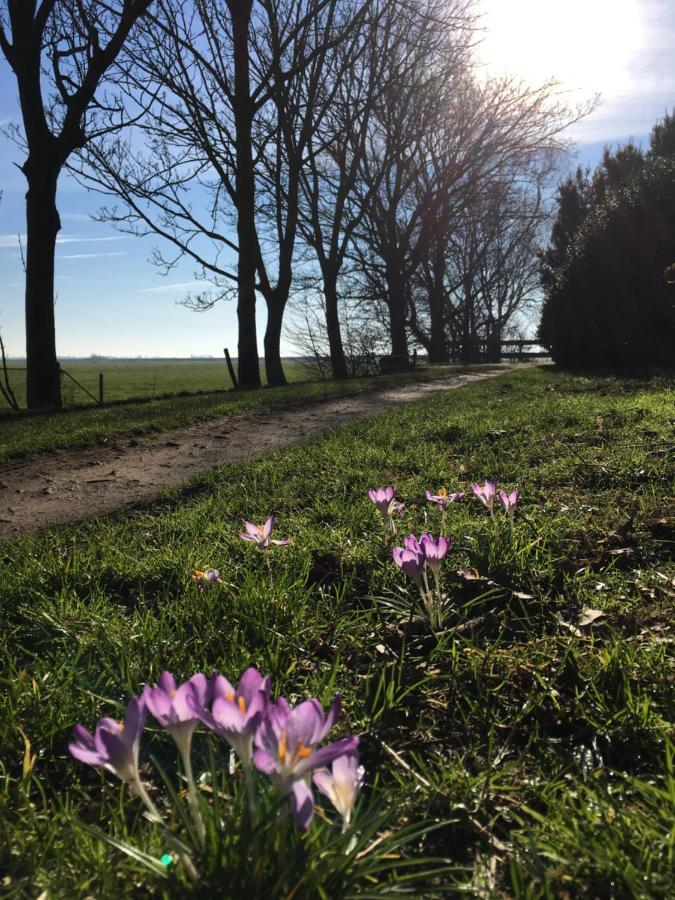 B&B Boerderij De Tempel Greonterp Luaran gambar