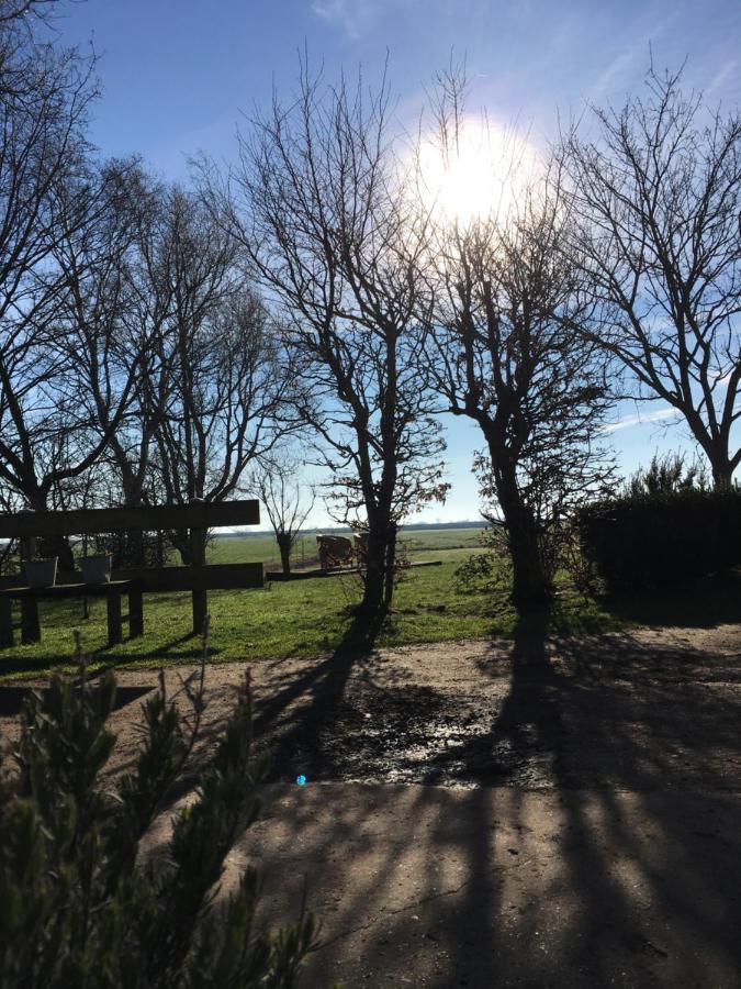 B&B Boerderij De Tempel Greonterp Luaran gambar